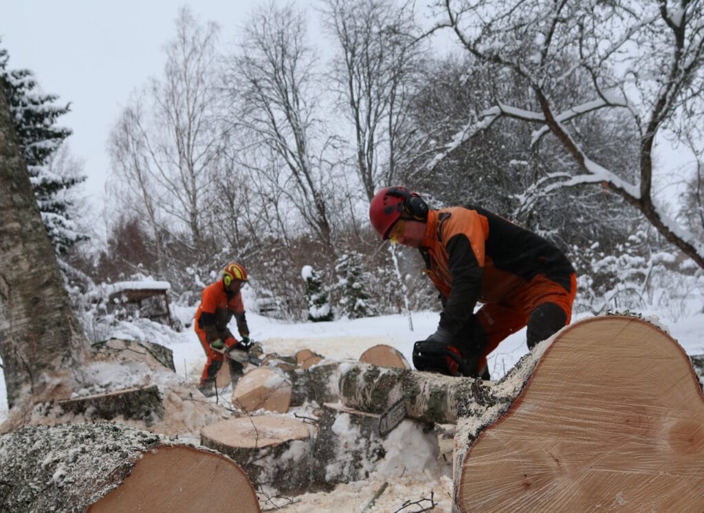 Puunkaato Taloyhtiölle - Länsimäen Kiinteistöpalveut Oy